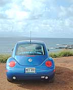 biodiesel car rentals