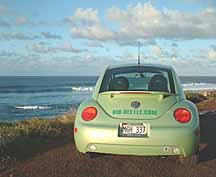 biodiesel ECO rental cars