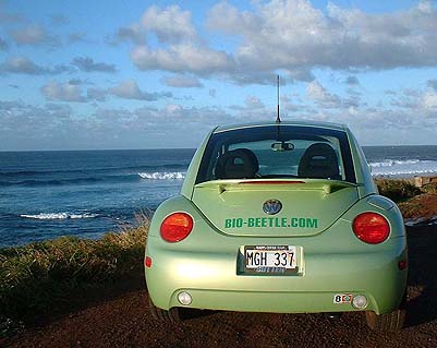 BIO BEETLE Maui rental car