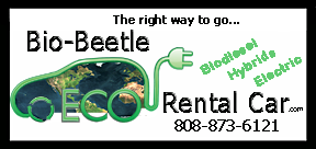 Maui Car rentals Logo