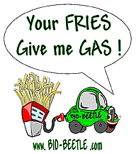 maui car rentals