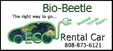 bio-beetle logo